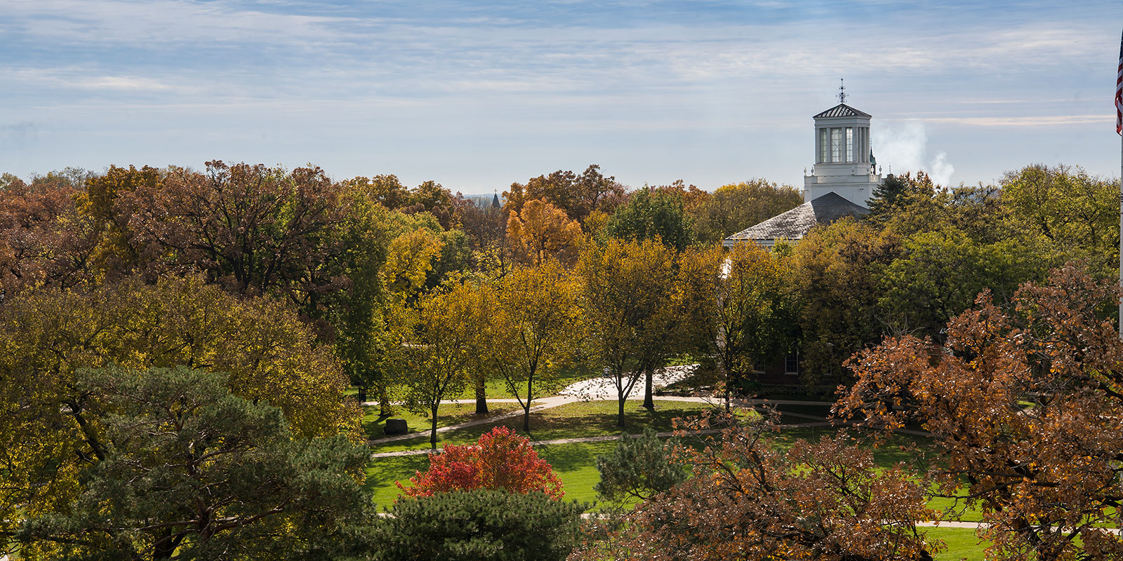 The top of a campus building peeks over some trees